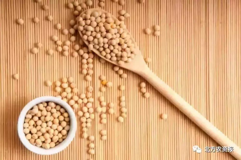 大豆价格预计6月下跌还是涨,大豆价格2023年是走高还是走低