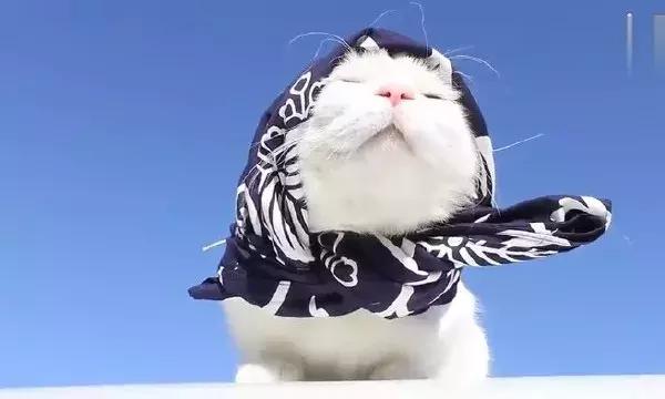 新一轮寒潮保障措施,寒潮来袭注意保暖最暖心的话