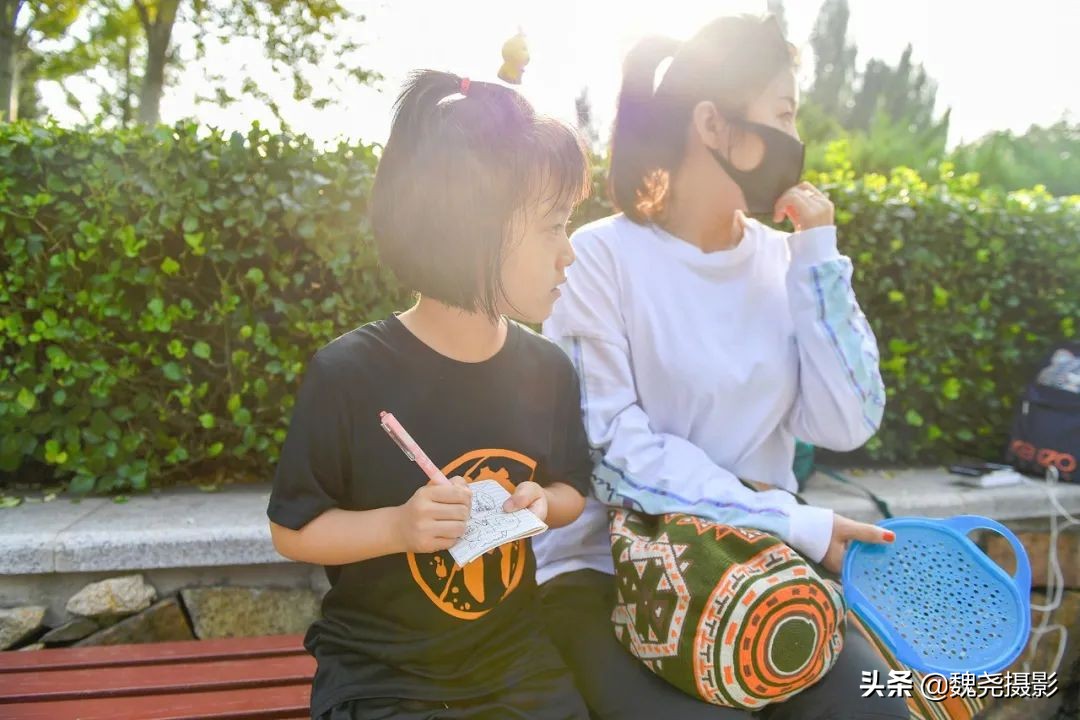 北京北坞公园里的京西稻又熟了,曾经只有皇上才能吃上这儿的大米