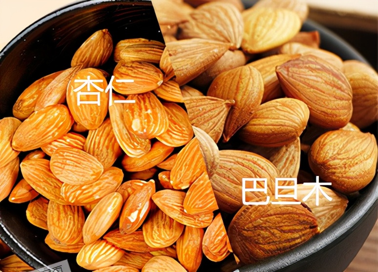 甘肃巴旦木适合种植吗,巴旦木是野生还是人工培育