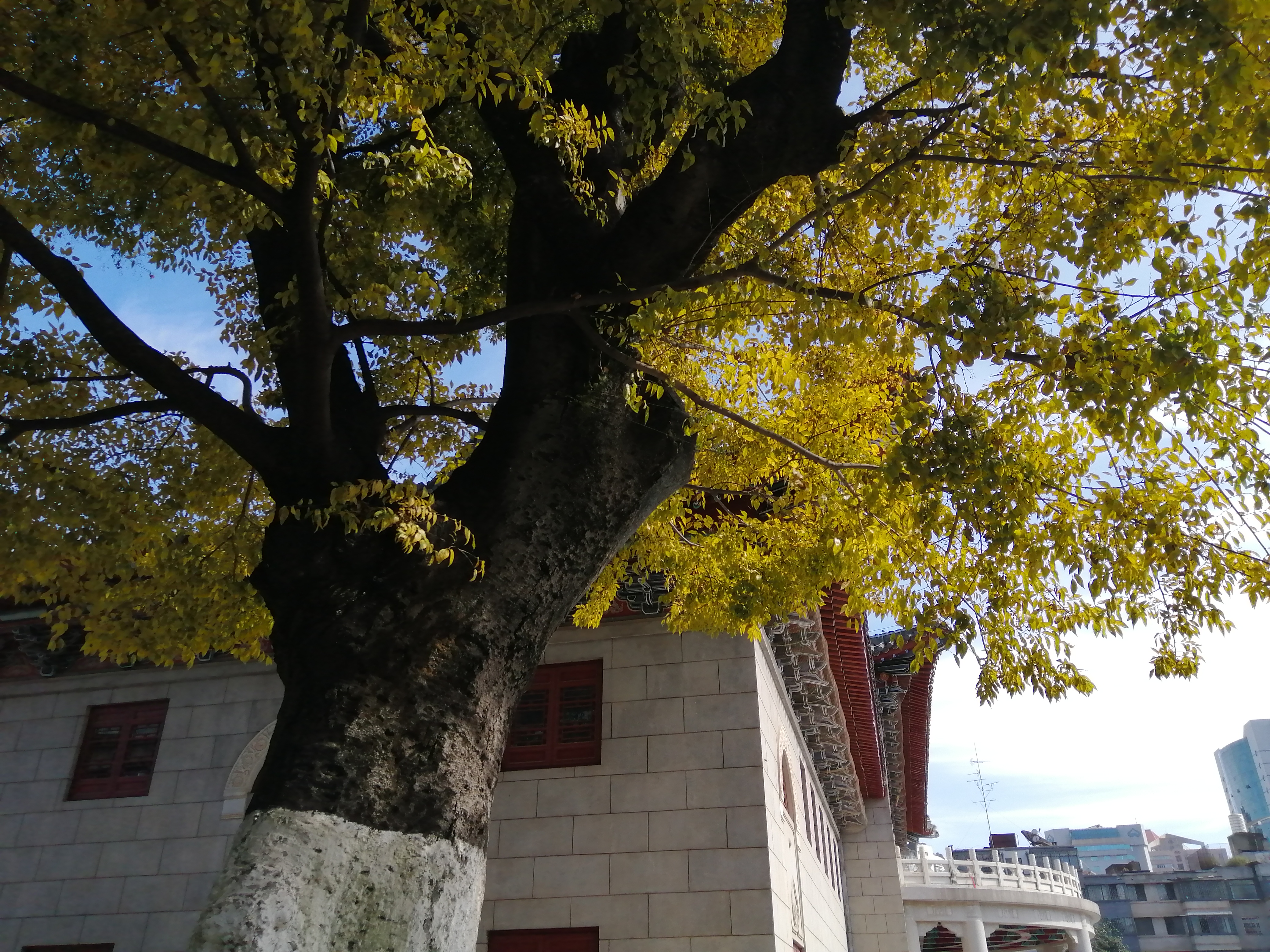 云南沐王府的前世今生,沐王府古滇国宝藏