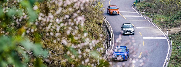 2.0L混动四驱，试驾雷克萨斯UX后，告诉你什么是雷式豪华生活方式