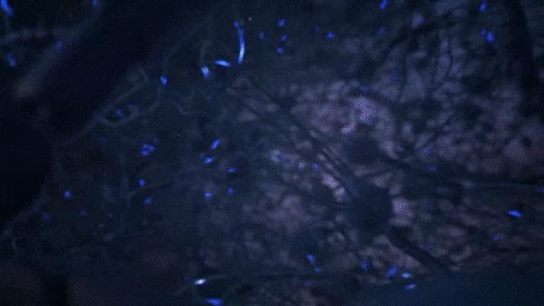 孤独的永生全文,永恒的孤独和死亡哪个可怕