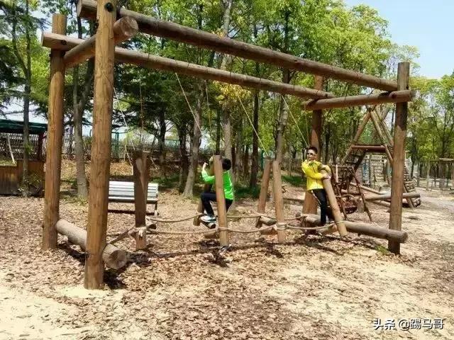 上海附近有哪些露营地可以看星星,上海周边免费露营地推荐人多