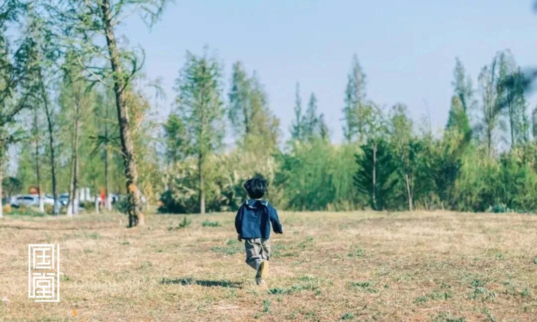 三处最上等的风水,一个家庭最好的风水其实藏在这里