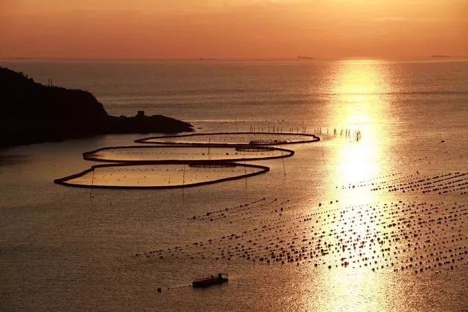 南麂岛黄渔嫂民宿,南麂岛民宿多少钱一晚