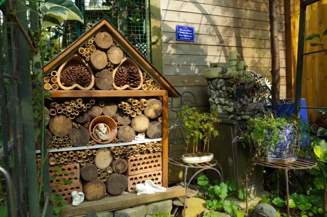 她40岁之前忙成狗，40岁之后在上海买房隐居