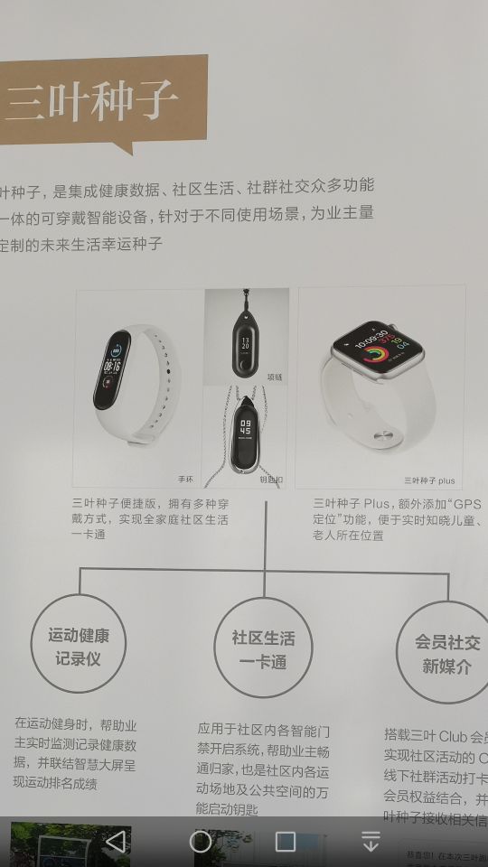 廊坊三叶公园项目信息,廊坊三叶公园附近