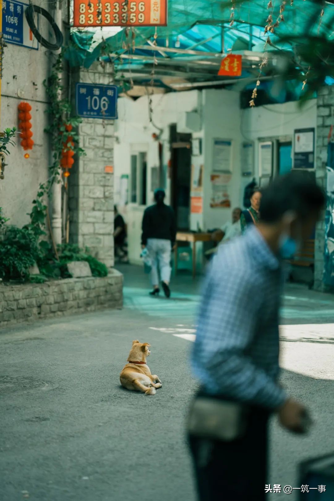 成都东二环最新消息,发觉成都