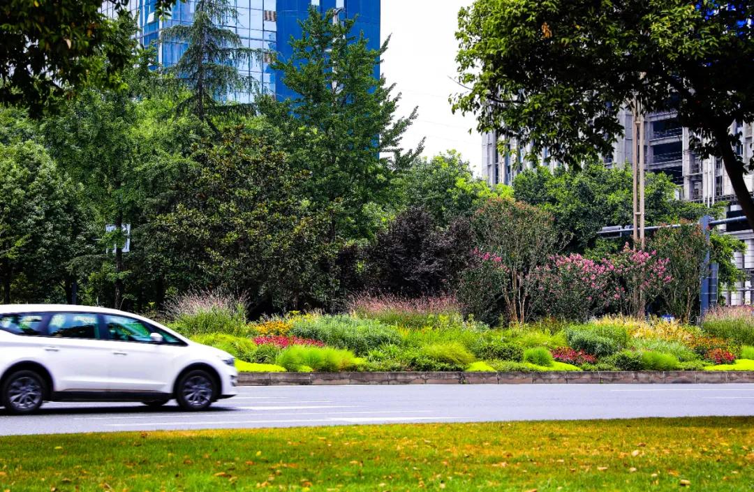 天府大道改造最新消息,为什么天府大道修到仁寿就变弯了