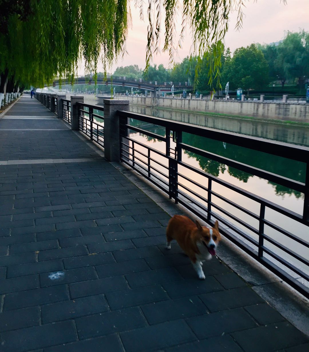 北京庆丰公园，有历史典故，能晨跑健身、遛弯散心的3*级A**景区