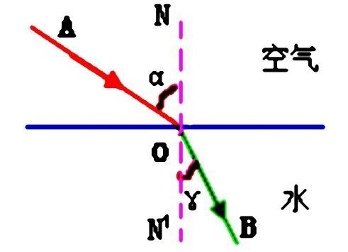 寒假物理八年级直播课,8年级暑假物理直播课程