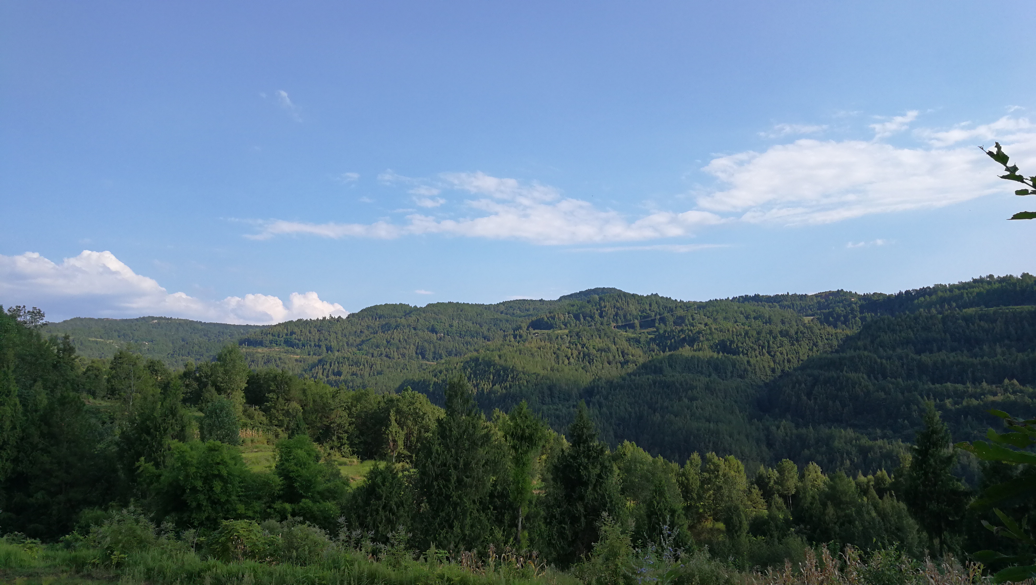 为什么人人都喜欢说教,为什么说教育就是这么一回事