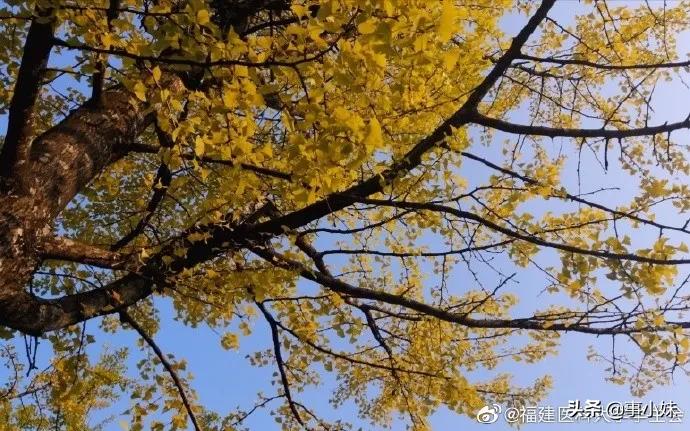 福医大上学怎么样,我劝你千万不要惹学医的女生