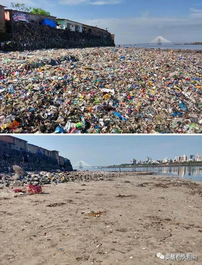 蓝鲸到底有多大,直观感受蓝鲸有多大