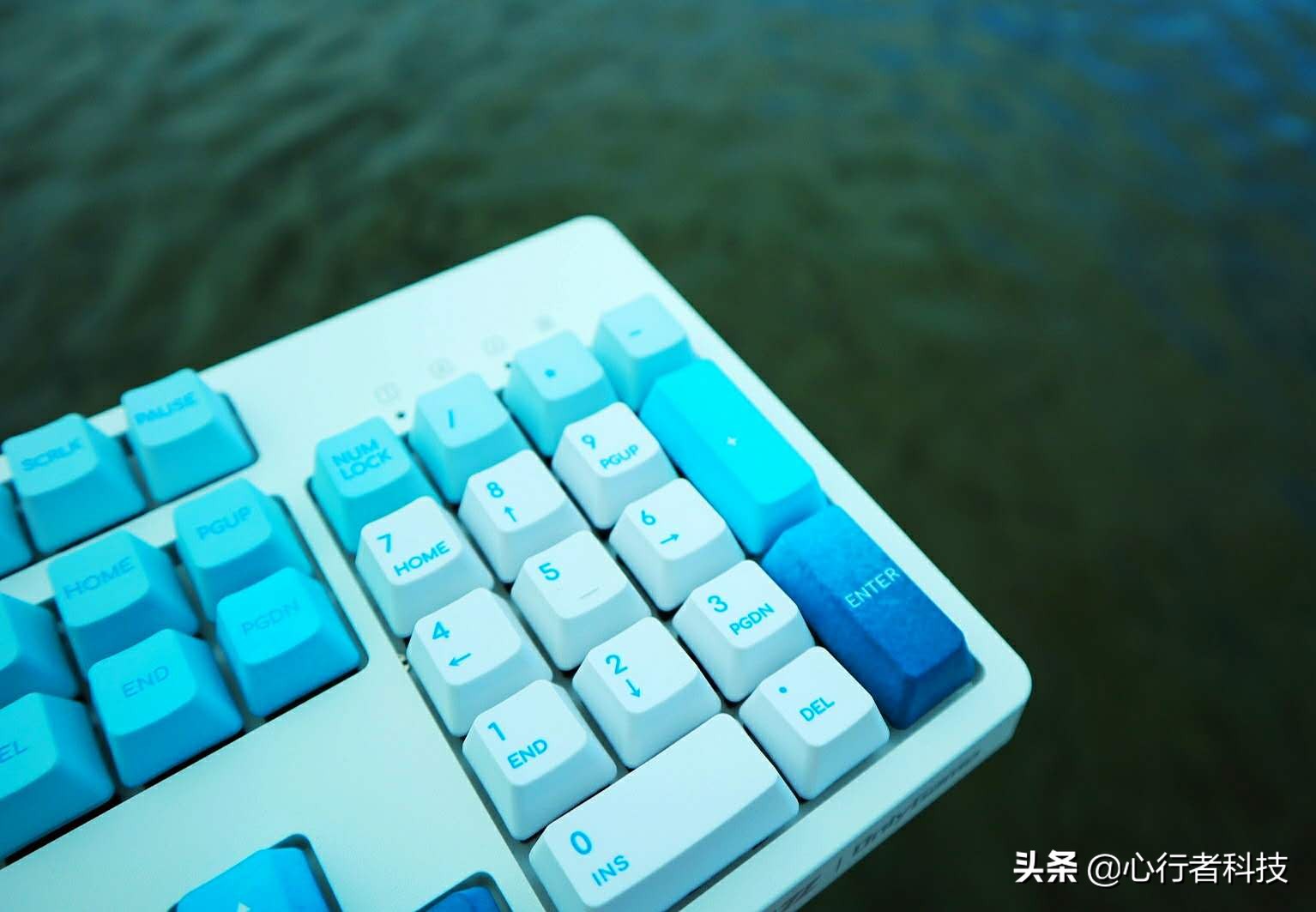 蜻蜓点水立指尖——黑爵蜻蜓键茶轴体验