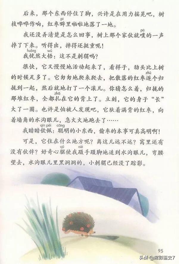 带刺的朋友课文小刺猬偷枣的过程,带刺的朋友中刺猬偷枣的过程是