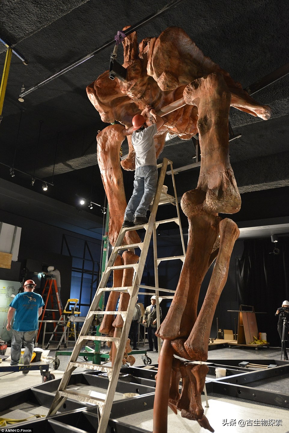 泰坦龙是最大的恐龙吗,世界上最高的恐龙是泰坦巨龙吗