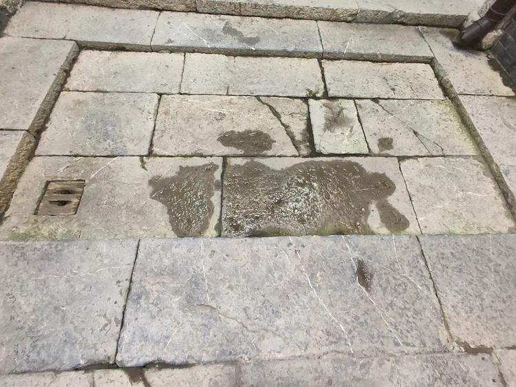 游高淳老街,逛高淳老街品固城湖螃蟹