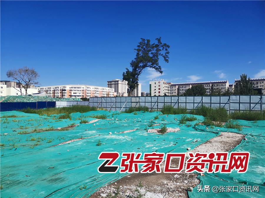48个班！张家口五中新校区真要来了，占地57亩（实探）