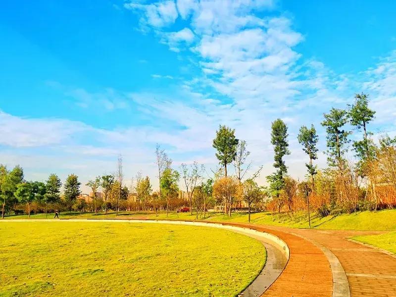 双流金马河绿道建设开始招标没有,成都双流空港绿道