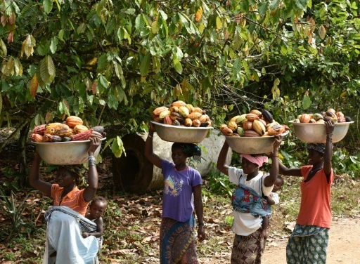 科特迪瓦历史发展阶段简介,科特迪瓦sanpedro