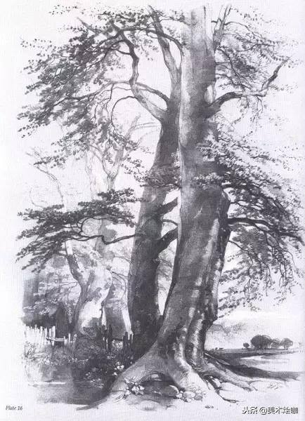 40张经典素描,40张经典素描风景图快拿去临摹吧