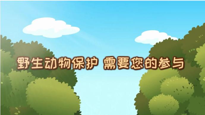 拯救野生动物和保护环境的重要性,我们该怎么保护环境保护动物