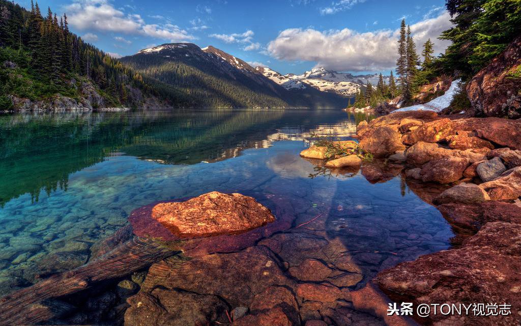 佳能相机新手推荐哪一款,尼康佳能单反哪款最好