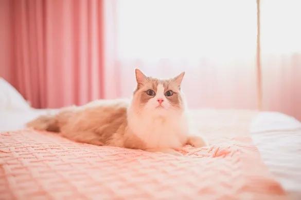 上海周边度假旅游胜地,收藏旅游地