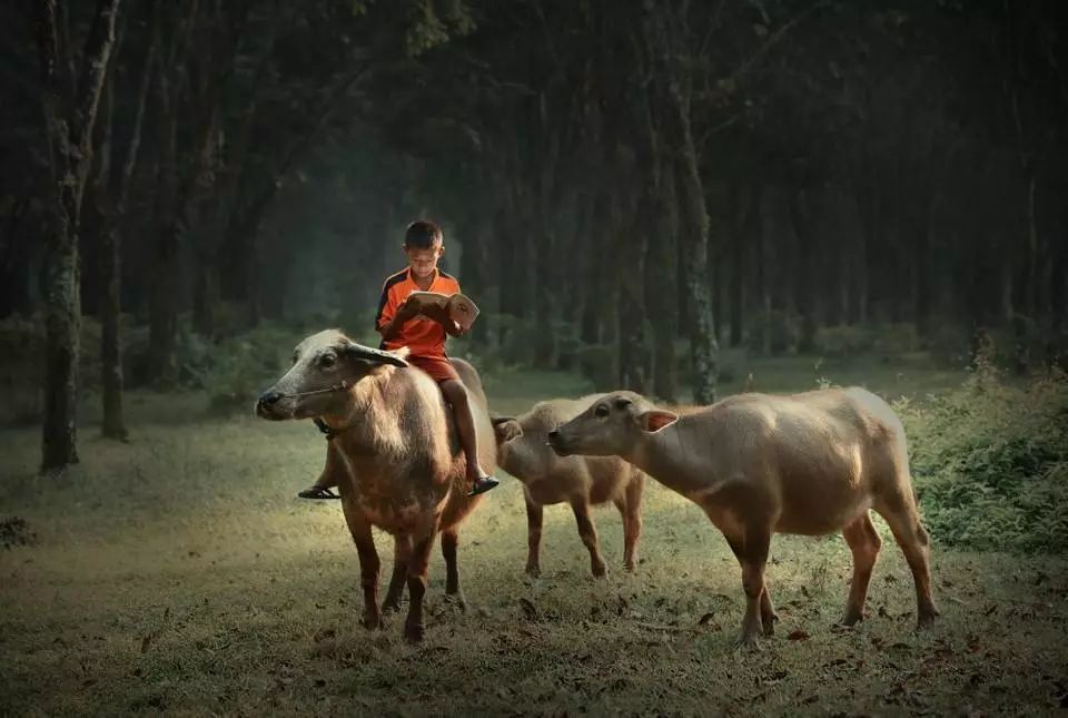 沅陵乡村放牛娃,放牛娃道县