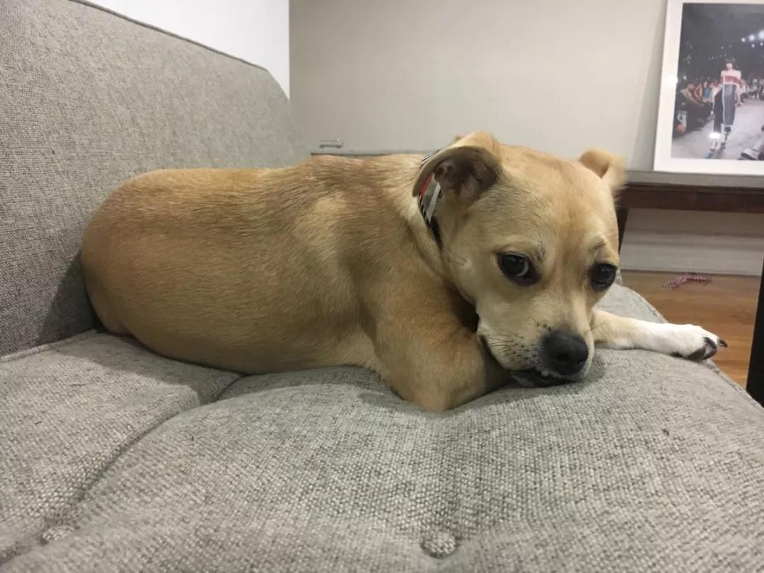 时尚|如何参加纽约时装周?纽约时装周的幕后真相