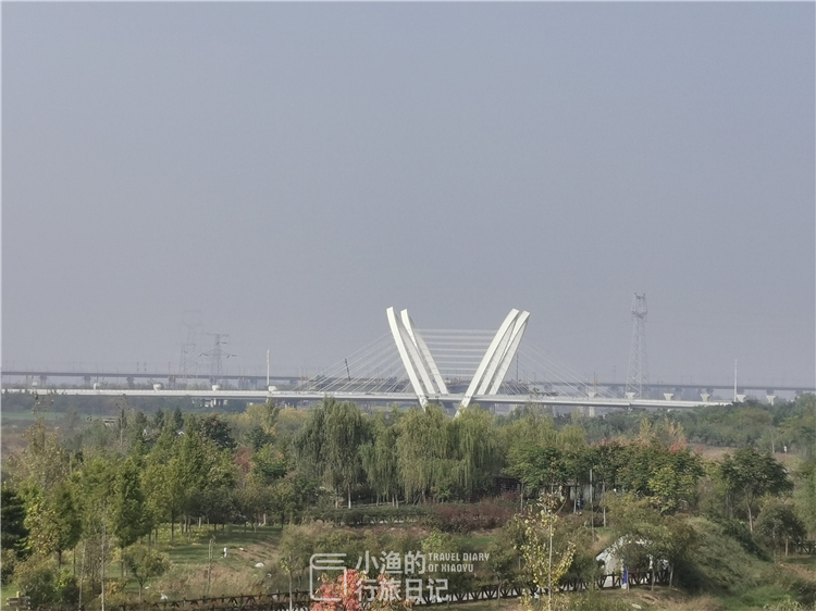 西安适合拍照的湿地公园,西安湿地公园赏花