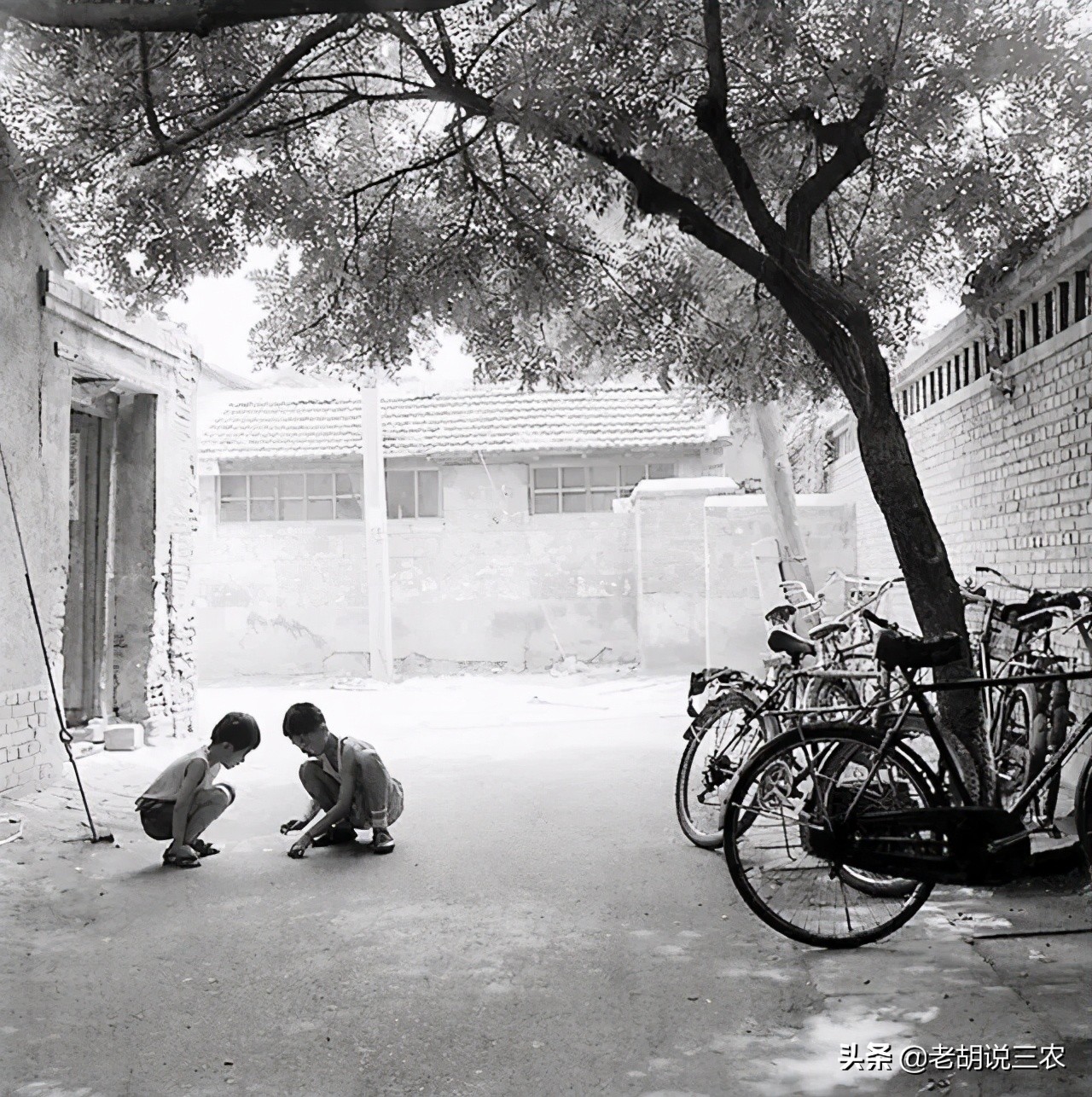 16年前老照片22岁的回忆,40年前的童年回忆视频合集大全