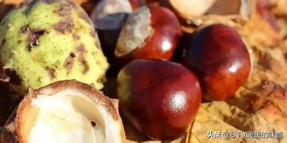 举个“栗”子，干果之王能补肾，药王孙思邈都赞