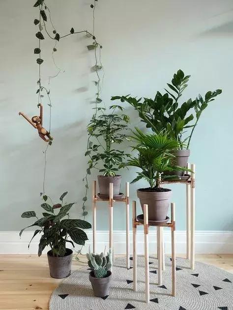 真正除甲醛的方法只有这三招,除甲醛的秘诀竟是如此简单有效