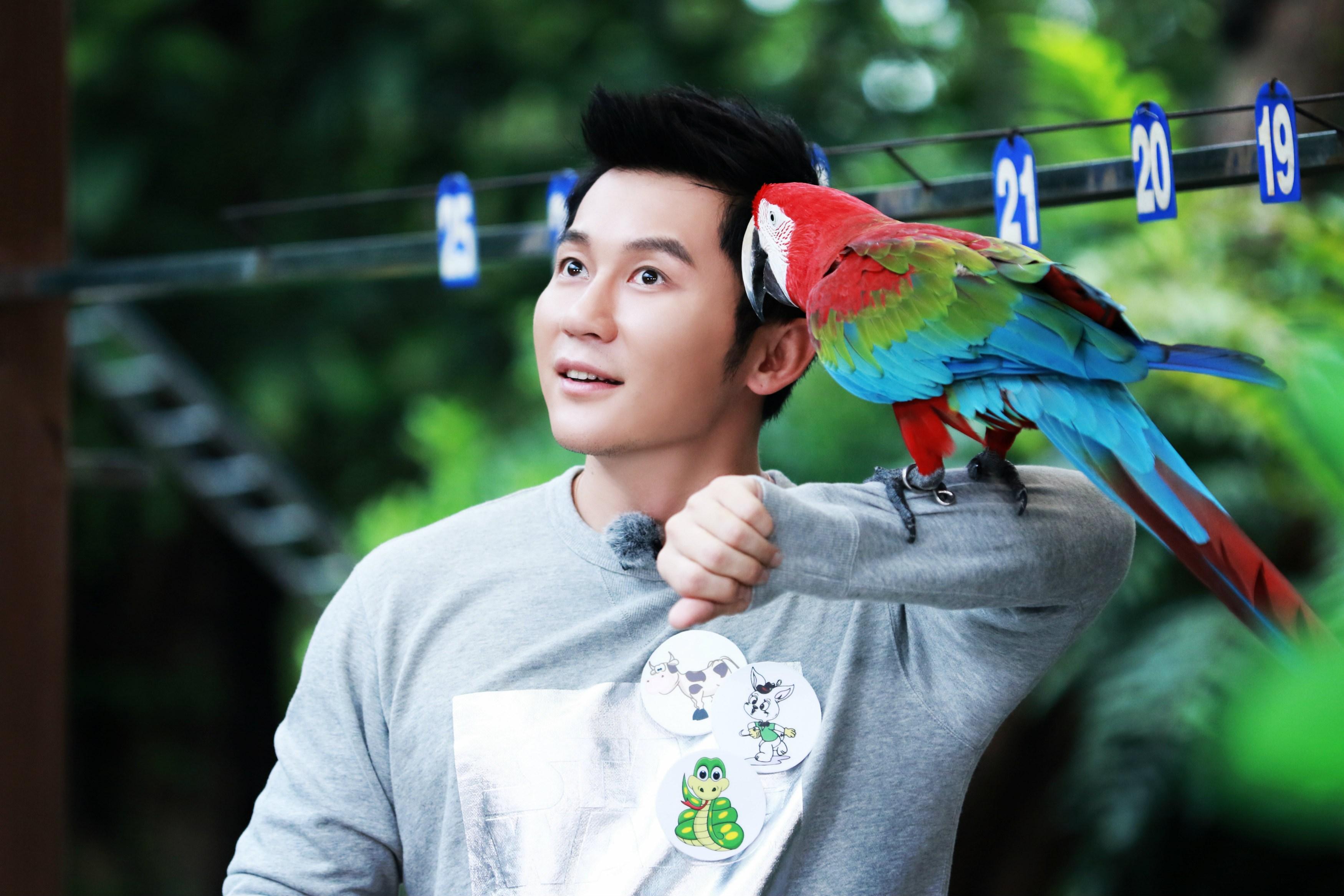 李晨真的聪明吗,李晨是骗子吗