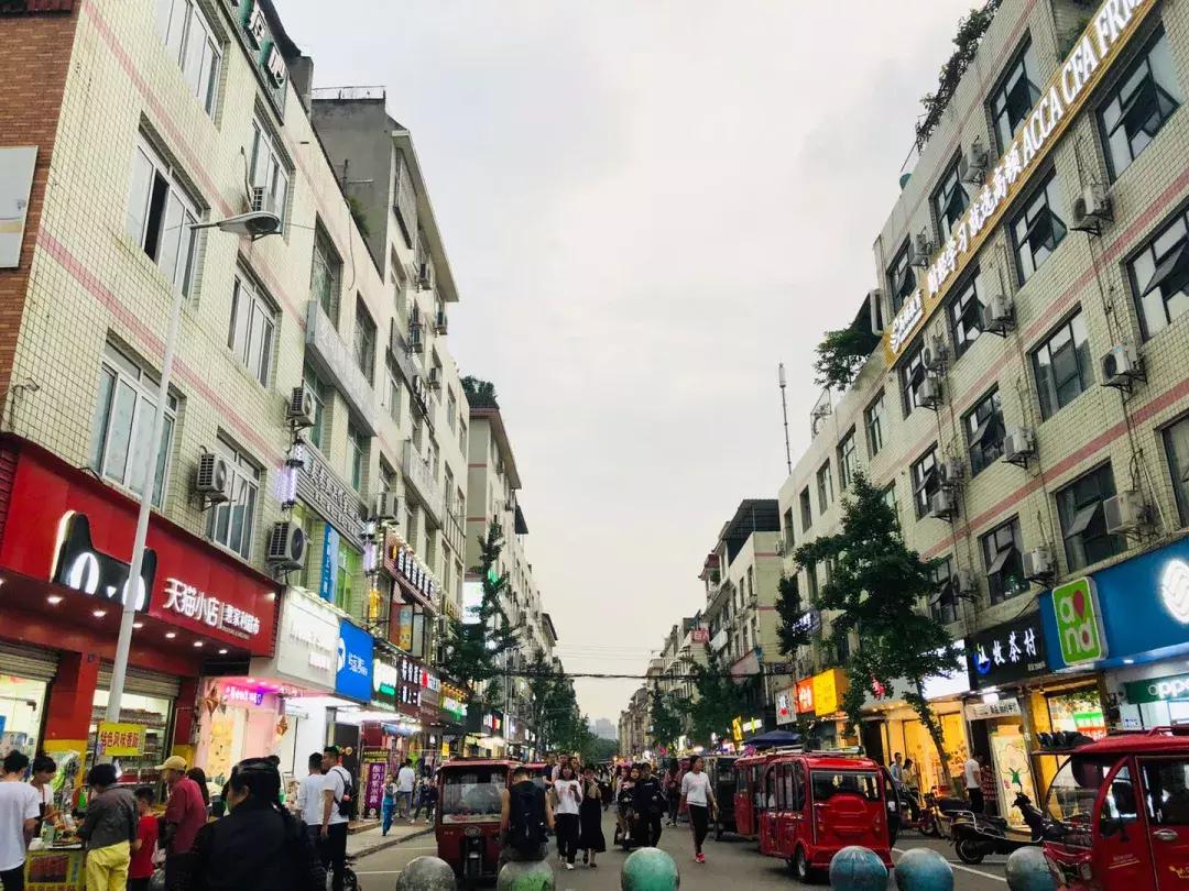 如果可以，请把我留在温江大学城！