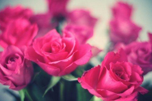 晚安句子短句治愈伤感,让人流泪的晚安句子