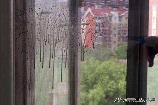 纱窗顽固灰渍清洗小妙招,清洗老旧纱窗油烟最有效的方法