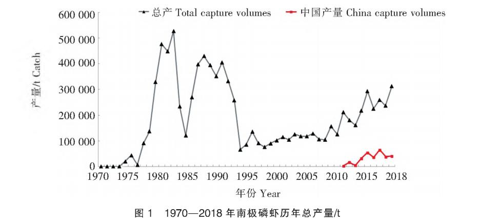 磷虾危机：6.5亿吨“蛋白库”，人类动了鲸鱼的“奶酪”？