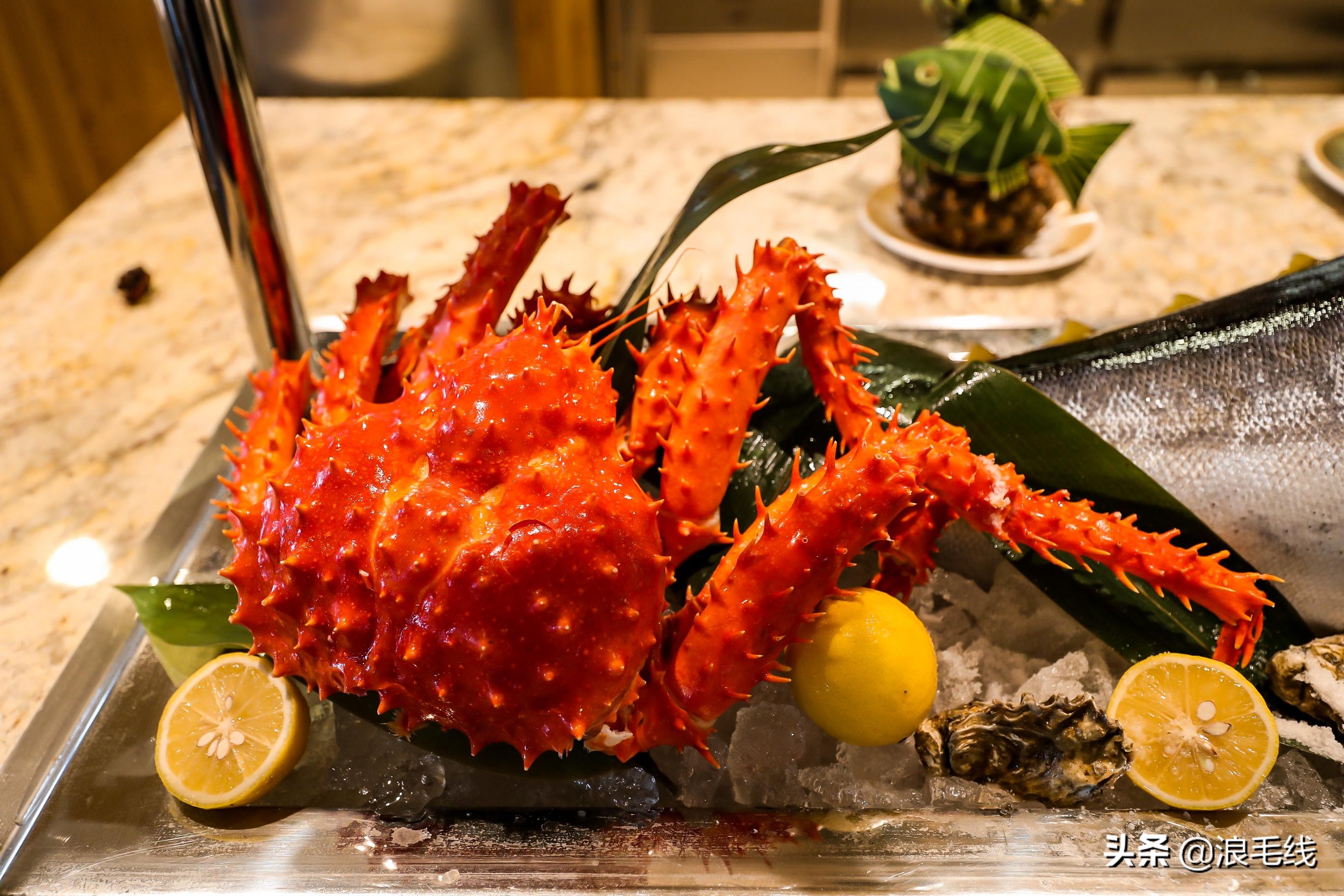 8天7夜,带着老头子游轮上岸行是种什么体验?