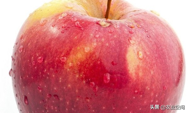 苹果酒怎么酿才好喝又简单,做苹果酒用什么苹果好呢