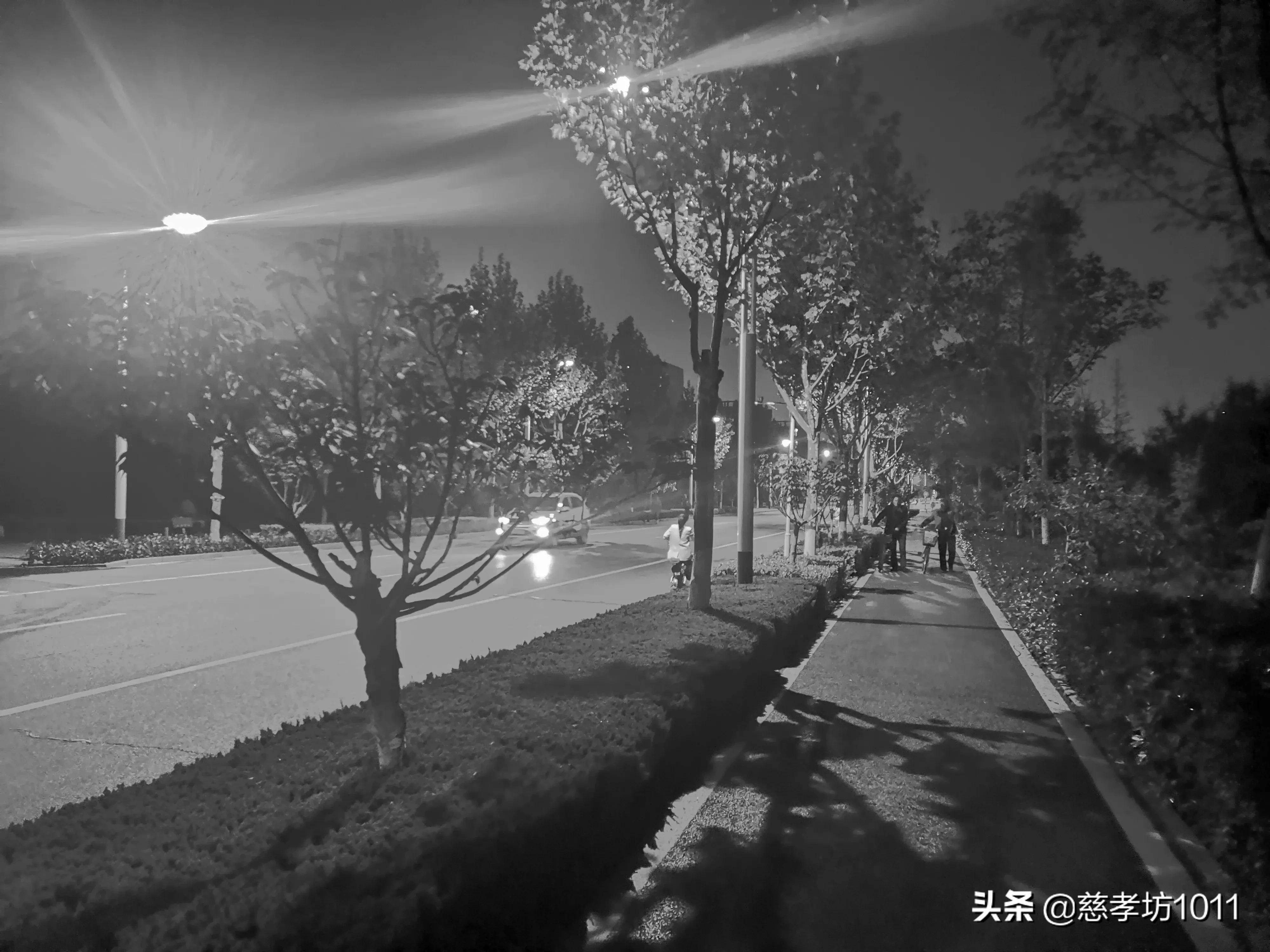 临沂大学校园游览,临沂大学参观感想