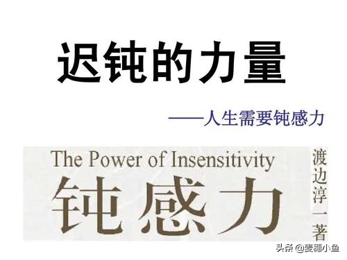 最好的生活是拥有钝感力,生活需要更多的钝感力