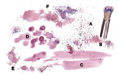 水彩绘画用的纸,水彩绘画用的画笔