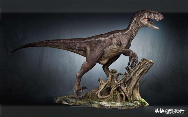 什么恐龙是恐龙世界最厉害的恐龙,恐龙世界最强大的恐龙是什么恐龙
