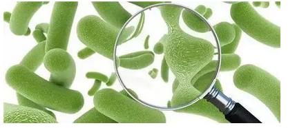 小孩喝牛奶拉肚子是什么原因,孩子喝牛奶奶粉拉肚子