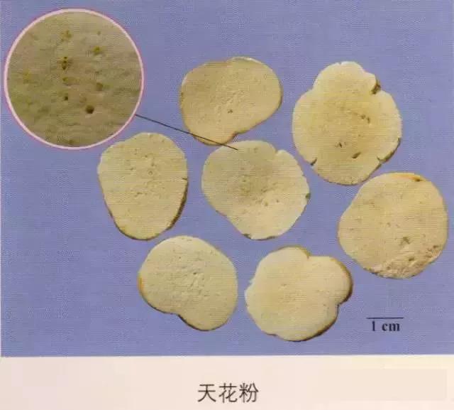 中药材图片大全大图带药名,200多味中药材图谱带图