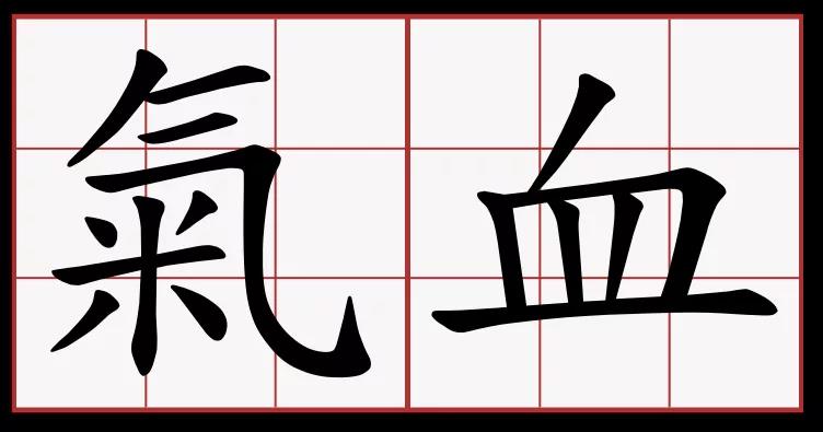 对中医诊断的理解,中医讲的气血是什么